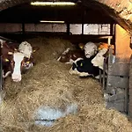 Сasa de vacaciones Haus Berlar
