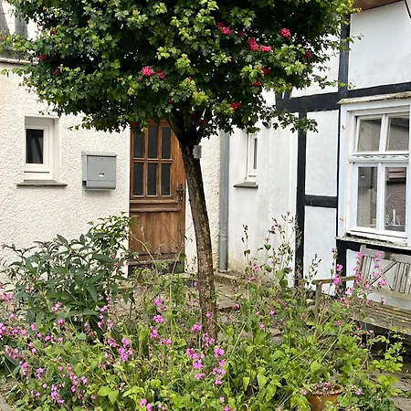 Haus Berlar Holiday home Bestwig
