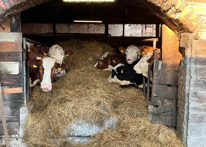 度假居 Haus Berlar